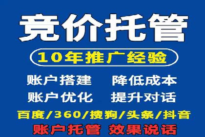 SEM推广案例：揭秘高ROI背后的策略与实践